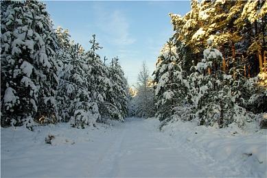 GTAOL夏季更新圣安地列斯佣兵发布首个预告